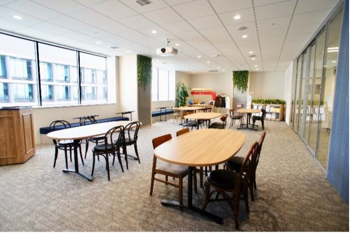 Professional Services Implementation